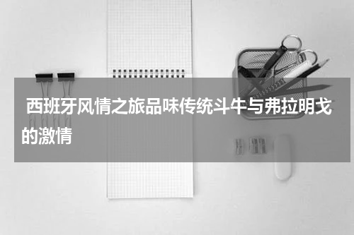  西班牙风情之旅品味传统斗牛与弗拉明戈的激情