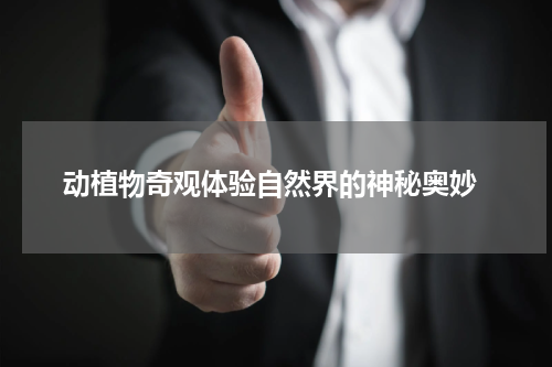  动植物奇观体验自然界的神秘奥妙