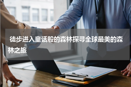  徒步进入童话般的森林探寻全球最美的森林之旅