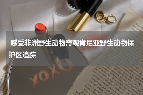  感受非洲野生动物奇观肯尼亚野生动物保护区追踪