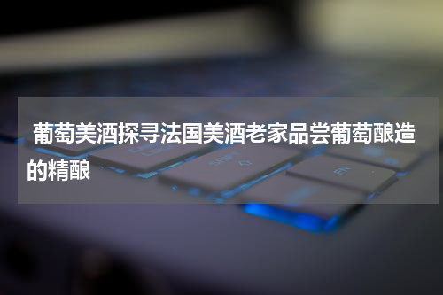  葡萄美酒探寻法国美酒老家品尝葡萄酿造的精酿