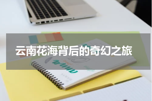 云南花海背后的奇幻之旅