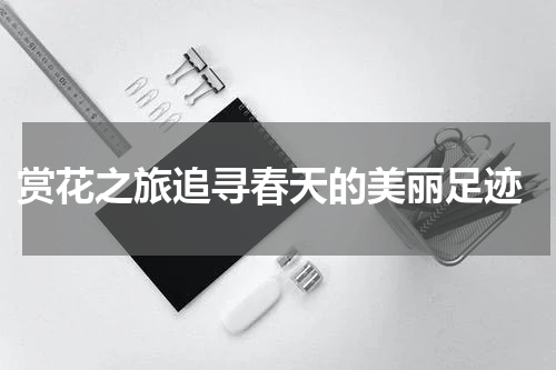  赏花之旅追寻春天的美丽足迹