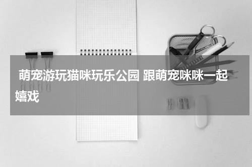  萌宠游玩猫咪玩乐公园 跟萌宠咪咪一起嬉戏