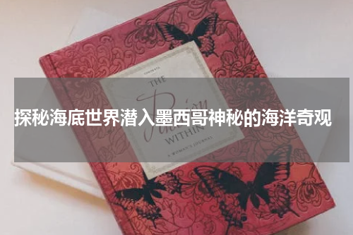  探秘海底世界潜入墨西哥神秘的海洋奇观