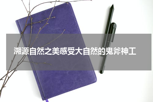  溯源自然之美感受大自然的鬼斧神工