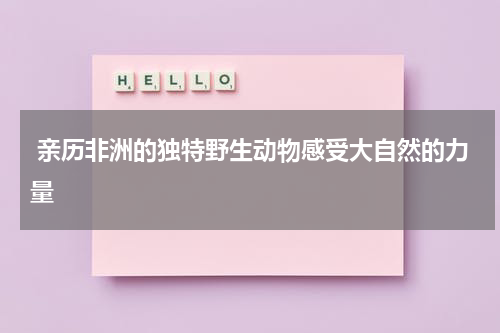  亲历非洲的独特野生动物感受大自然的力量