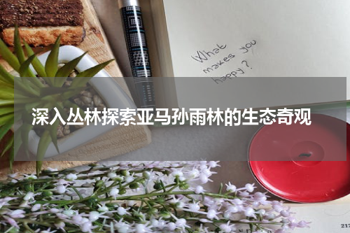  深入丛林探索亚马孙雨林的生态奇观