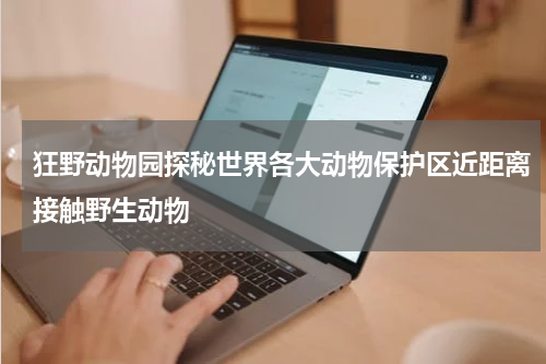狂野动物园探秘世界各大动物保护区近距离接触野生动物
