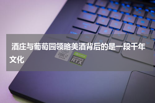  酒庄与葡萄园领略美酒背后的是一段千年文化