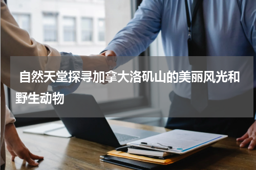  自然天堂探寻加拿大洛矶山的美丽风光和野生动物