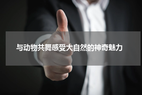  与动物共舞感受大自然的神奇魅力