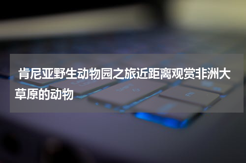  肯尼亚野生动物园之旅近距离观赏非洲大草原的动物