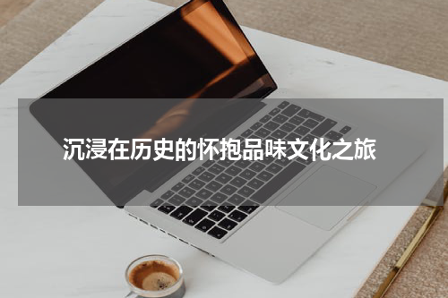  沉浸在历史的怀抱品味文化之旅
