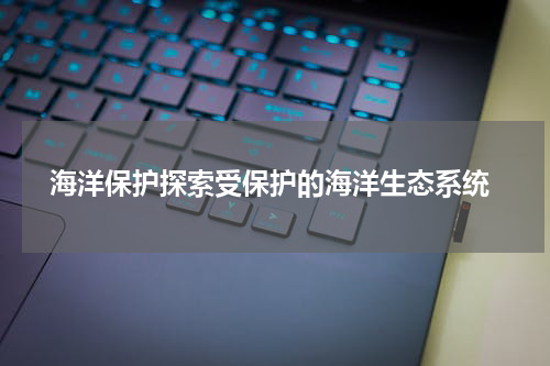  海洋保护探索受保护的海洋生态系统