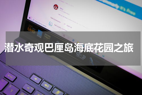  潜水奇观巴厘岛海底花园之旅