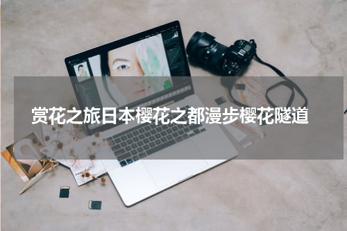  赏花之旅日本樱花之都漫步樱花隧道