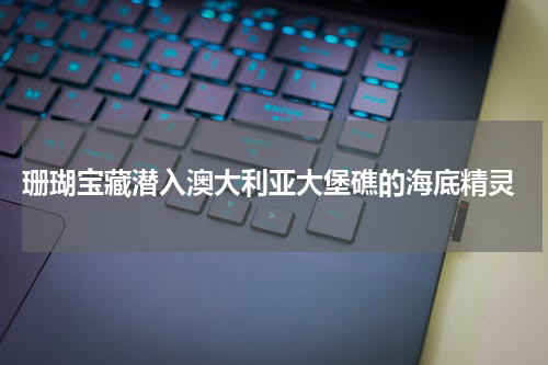  珊瑚宝藏潜入澳大利亚大堡礁的海底精灵