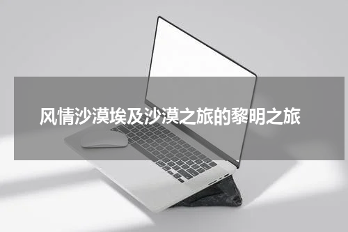  风情沙漠埃及沙漠之旅的黎明之旅