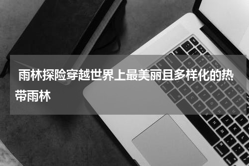  雨林探险穿越世界上最美丽且多样化的热带雨林