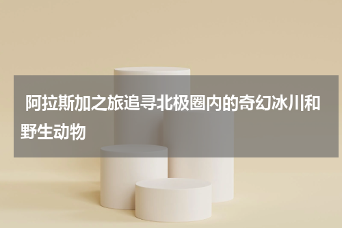  阿拉斯加之旅追寻北极圈内的奇幻冰川和野生动物