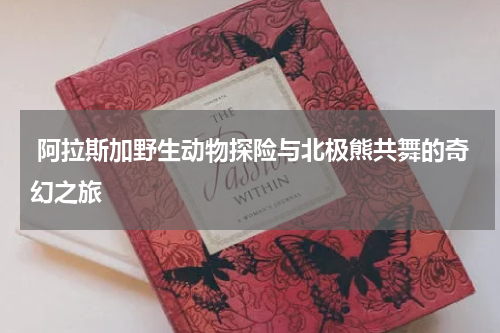 阿拉斯加野生动物探险与北极熊共舞的奇幻之旅