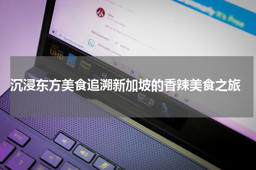  沉浸东方美食追溯新加坡的香辣美食之旅