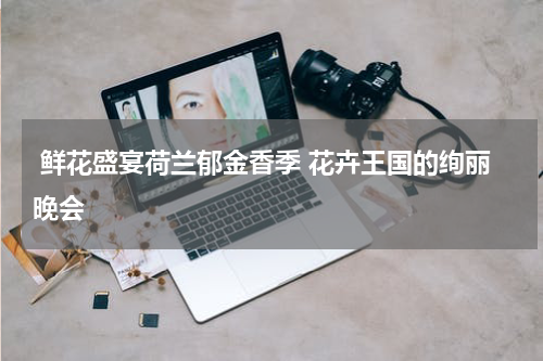  鲜花盛宴荷兰郁金香季 花卉王国的绚丽晚会