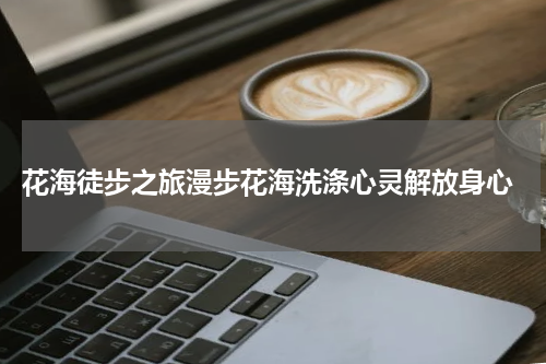  花海徒步之旅漫步花海洗涤心灵解放身心