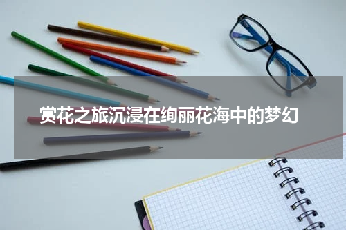  赏花之旅沉浸在绚丽花海中的梦幻