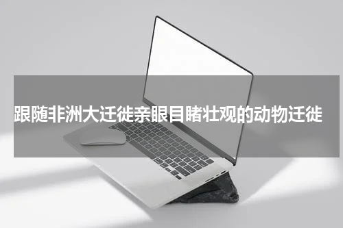  跟随非洲大迁徙亲眼目睹壮观的动物迁徙