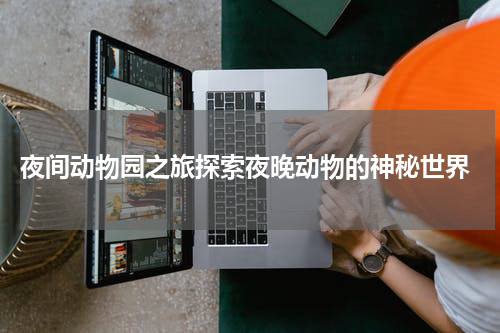  夜间动物园之旅探索夜晚动物的神秘世界