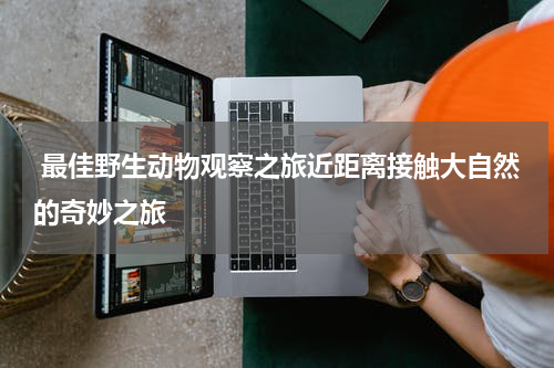  最佳野生动物观察之旅近距离接触大自然的奇妙之旅