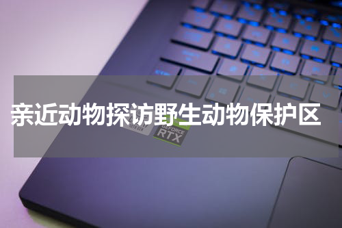  亲近动物探访野生动物保护区