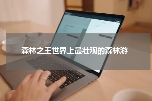  森林之王世界上最壮观的森林游