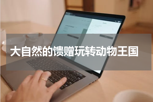 大自然的馈赠玩转动物王国