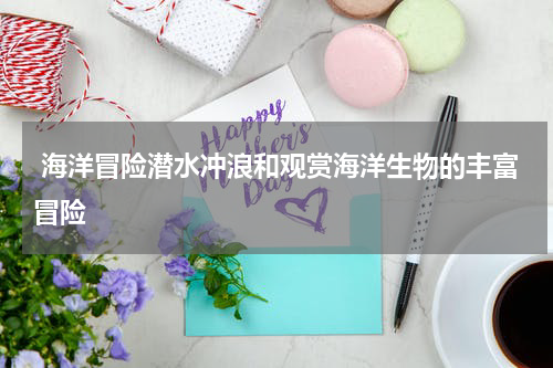  海洋冒险潜水冲浪和观赏海洋生物的丰富冒险