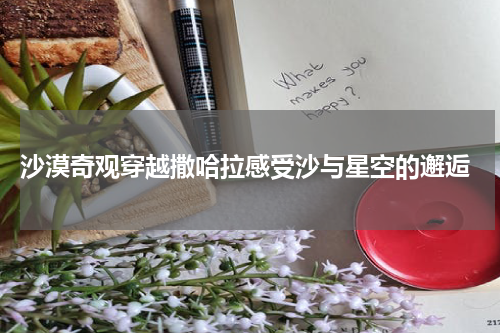  沙漠奇观穿越撒哈拉感受沙与星空的邂逅