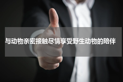  与动物亲密接触尽情享受野生动物的陪伴