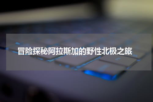  冒险探秘阿拉斯加的野性北极之旅