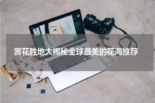  赏花胜地大揭秘全球最美的花海推荐
