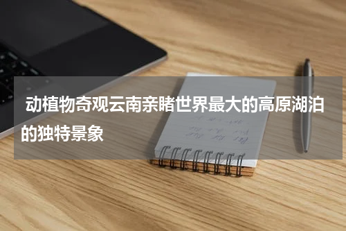  动植物奇观云南亲睹世界最大的高原湖泊的独特景象