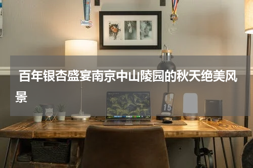  百年银杏盛宴南京中山陵园的秋天绝美风景