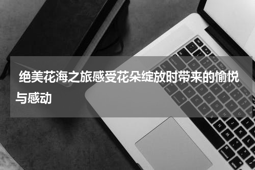  绝美花海之旅感受花朵绽放时带来的愉悦与感动