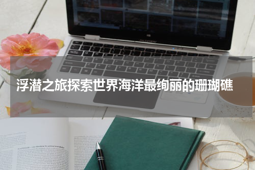  浮潜之旅探索世界海洋最绚丽的珊瑚礁
