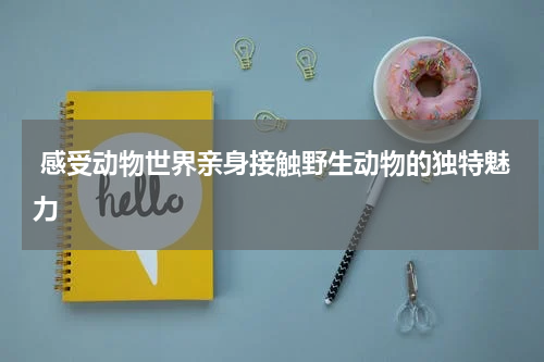  感受动物世界亲身接触野生动物的独特魅力