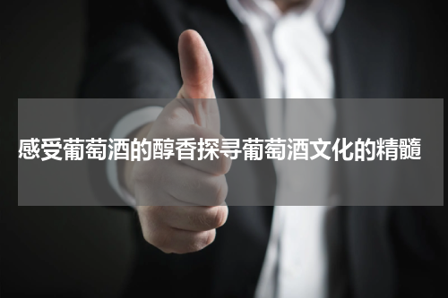 感受葡萄酒的醇香探寻葡萄酒文化的精髓