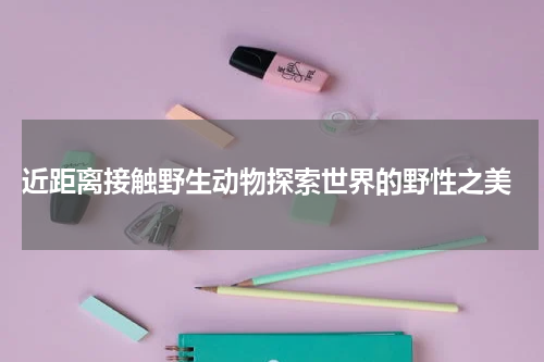  近距离接触野生动物探索世界的野性之美