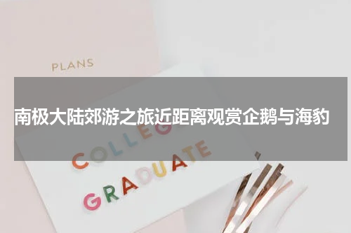  南极大陆郊游之旅近距离观赏企鹅与海豹