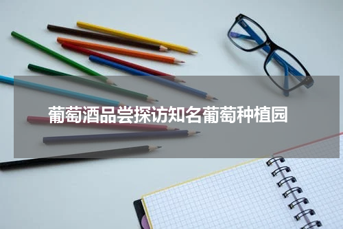  葡萄酒品尝探访知名葡萄种植园